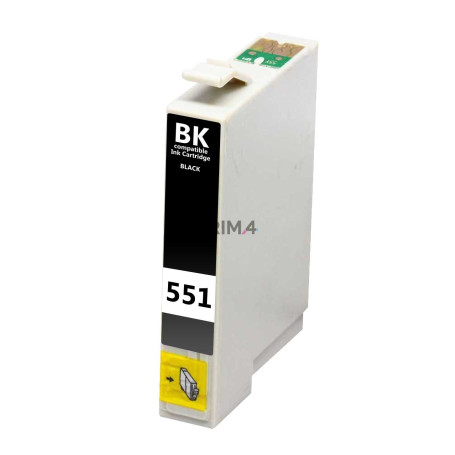 T0551 Noir 16ml Cartouche d'encre Compatible avec Imprimantes Inkjet Epson Stylus Photo R240, RX42X, RX520